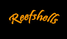 reefshells